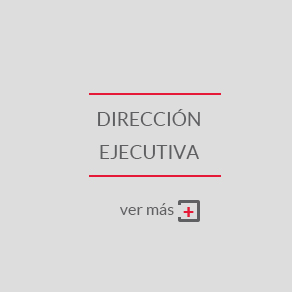 Dirección Ejecutiva client11