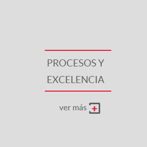 Procesos y Excelencia client6