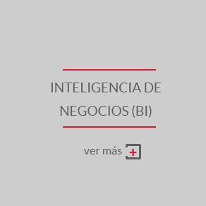 Inteligencia de Negocio (BI) client7
